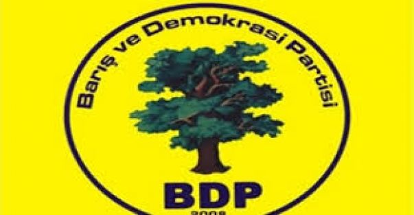 BDP Kulu Belediyesi Meclis Adayları Listesi